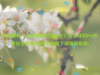 如何拥有一张高额度的信用卡？什么样的POS机更安全可靠(信用卡额度下调强制恢复)