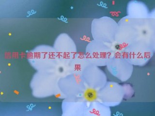 信用卡逾期了还不起了怎么处理？会有什么后果