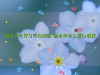 信用卡支付方式有哪些?信用卡怎么进行消费