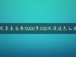 如果我欠京东一张空白纸条超过5000天怎么办？