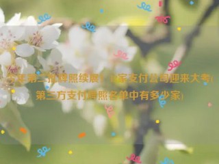 详细阅读:今年第二批牌照续展!12家支付公司迎来大考(第三方支付牌照名单中有多少家) 今年第二批牌照续展!12家支付公司迎来大考(第三方支付牌照名单中有多少家)