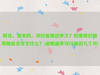 鲜花，借来的，你还能推迟多久？如果我们继续拖延会发生什么？(逾期***多可以推迟几个月)
