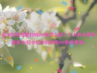 详细阅读:拉卡拉电签版扫码POS机怎么样?个人养卡费率是多少(拉卡拉扫码电签POS机***) 拉卡拉电签版扫码POS机怎么样?个人养卡费率是多少(拉卡拉扫码电签POS机***)