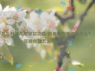 怎么开通花呗收款功能?具体操作步骤是什么？(花呗收款怎么开通方法) 