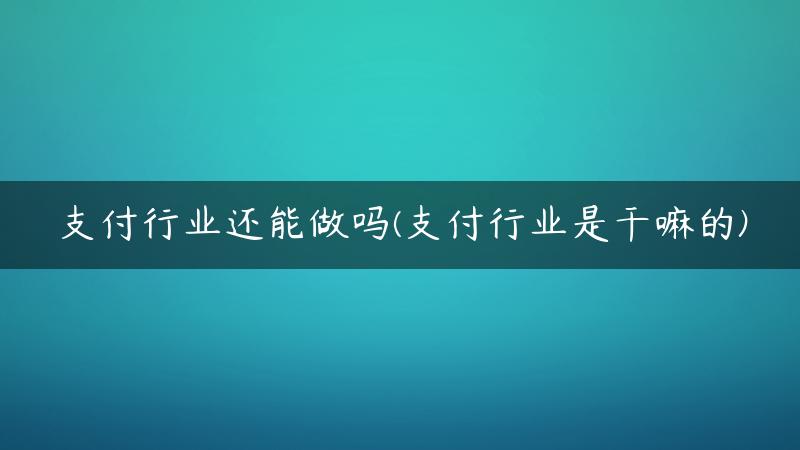 支付行业还能做吗(支付行业是干嘛的)
