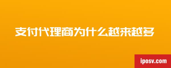 为什么那么多人做支付