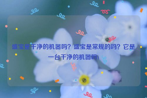 盛宝是干净的机器吗?盛宝是常规的吗?它是一台干净的机器吗)