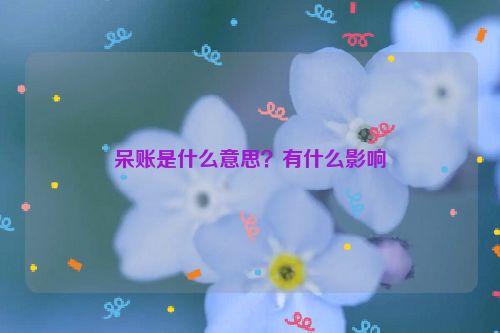 呆账是什么意思？有什么影响