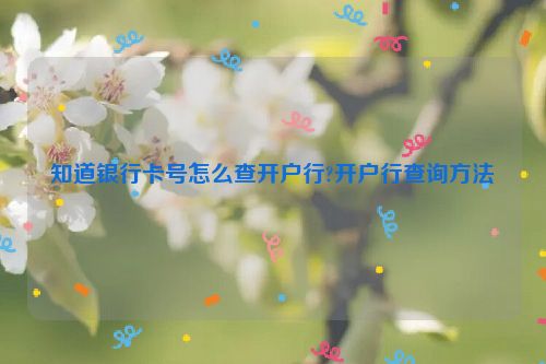 知道银行卡号怎么查开户行?开户行查询方法