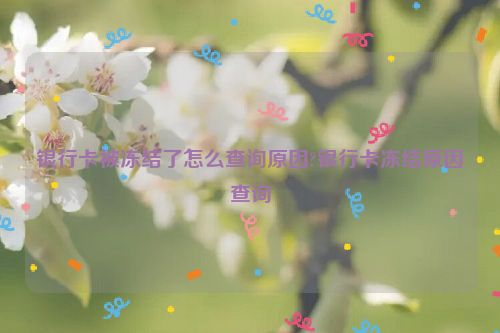 银行卡被冻结了怎么查询原因?银行卡冻结原因查询