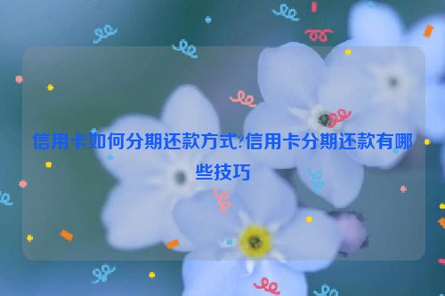 信用卡如何分期还款方式?信用卡分期还款有哪些技巧