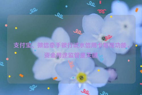 支付宝、微信牵手银行试水信用卡取现功能，资金用途监管是关键