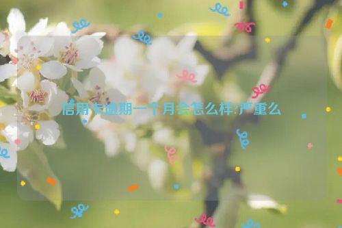 信用卡逾期一个月会怎么样?严重么